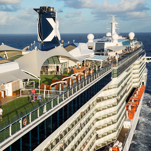 Celebrity Reflection