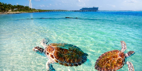 Upplev Costa Maya
